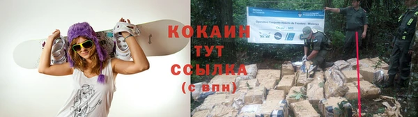 сатива Баксан