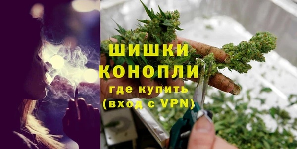 сатива Баксан