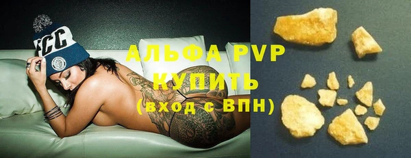 сатива Баксан