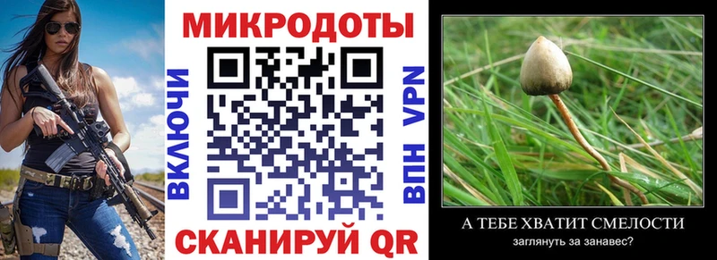 Псилоцибиновые грибы GOLDEN TEACHER  Верещагино 