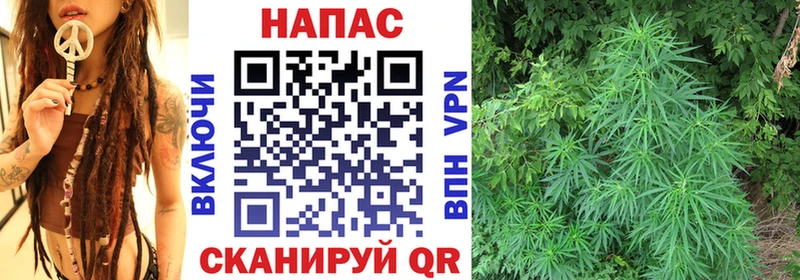 Конопля SATIVA & INDICA Верещагино